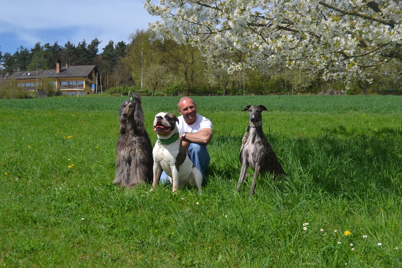 Hundetrainer Frank Vath sitzt mit drei Hunden auf einer blühenden Wiese